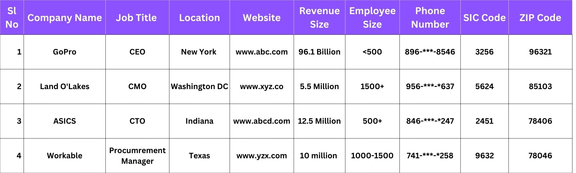 NetSuite Customers List Sample