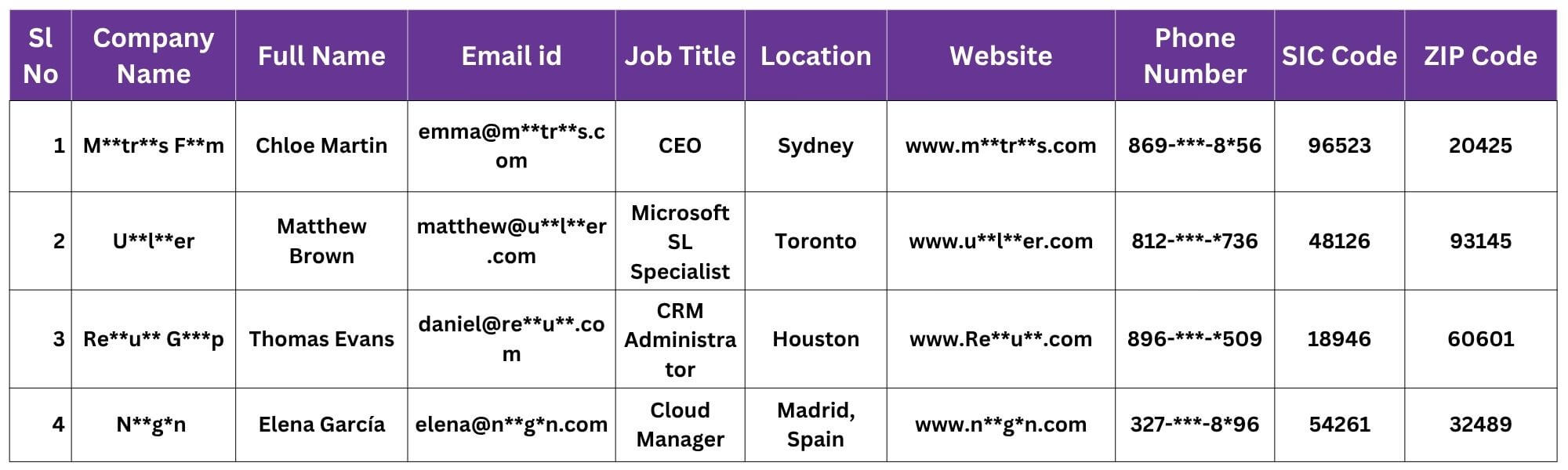 Microsoft Dynamics 365 Users Email List Sample