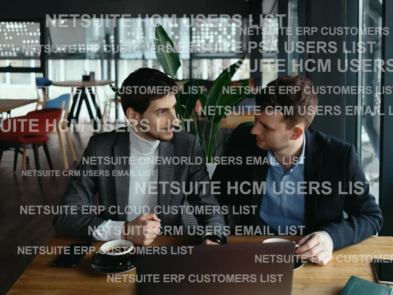 netsuite-users-list